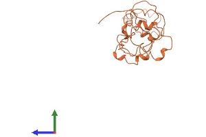 AlphaFold protein structure predicition of Human Recombinant KRTAP4-6 Protein, UniprotID Q9BYQ5