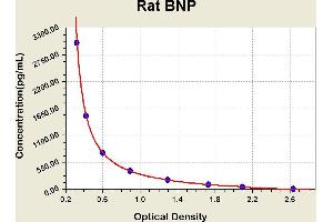 Diagramm of the ELISA kit to detect Rat BNPwith the optical density on the x-axis and the concentration on the y-axis.