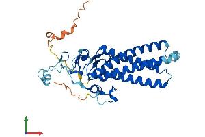 AlphaFold protein structure predicition of Human Recombinant ZDHHC3 Protein, UniprotID Q9NYG2 (ZDHHC3 Protein (AA 1-299) (His tag))