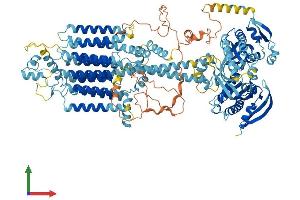 Protein Structure (PS) image for Adenylate Cyclase 6 (ADCY6) (AA 1-1165) protein (His tag) (ABIN7563578)