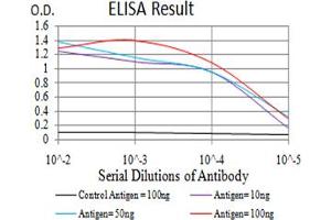 Fig. (MMP2 antibody  (AA 9-140))