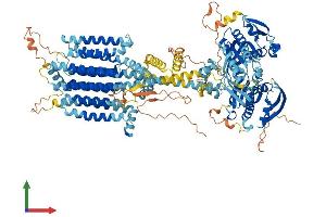 Protein Structure (PS) image for Adenylate Cyclase 3 (ADCY3) (AA 1-1144) protein (His tag) (ABIN7551926)