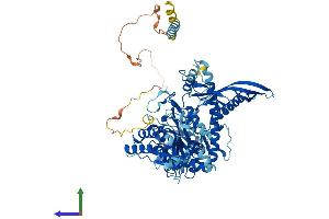 AlphaFold protein structure predicition of Mouse Recombinant Chpf Protein, UniprotID Q6IQX7