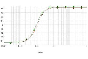 ELISA results of purified Rabbit Anti-Human IgG Peroxidase Conjugated Antibody (Min X mouse serum) tested against purified Human IgG. (Rabbit anti-Human IgG (Heavy & Light Chain) Antibody (HRP))