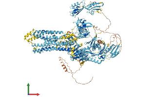 Protein Structure (PS) image for ATPase, Cu++ Transporting, alpha Polypeptide (ATP7A) (AA 1-1500) protein (His tag) (ABIN7552494)