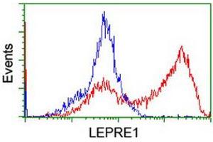 HEK293T cells transfected with either RC222535 overexpress plasmid (Red) or empty vector control plasmid (Blue) were immunostained by anti-LEPRE1 antibody (ABIN2455935), and then analyzed by flow cytometry. (LEPRE1 antibody)
