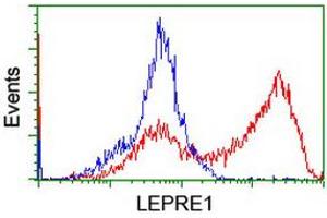 HEK293T cells transfected with either RC222535 overexpress plasmid (Red) or empty vector control plasmid (Blue) were immunostained by anti-LEPRE1 antibody (ABIN2455935), and then analyzed by flow cytometry. (LEPRE1 antibody)