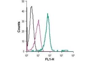 Cell surface detection of TrkB in live intact human THP-1 monocytic leukemia cells: (black line) Cells.