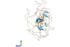 AlphaFold protein structure predicition of Human Recombinant ZFPM2 Protein, UniprotID Q8WW38 (ZFPM2 Protein (AA 1-1151) (His tag))