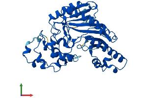 AlphaFold protein structure predicition of Human Recombinant CKM Protein, UniprotID P06732 (CKM Protein (AA 1-381) (His tag))