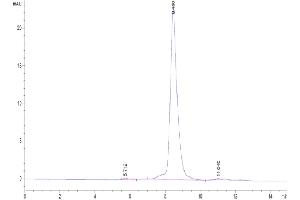 Size-exclusion chromatography-High Pressure Liquid Chromatography (SEC-HPLC) image for CD3D & CD3E (AA 23-120) protein (His tag,Biotin) (ABIN7274137)