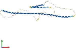 Protein Structure (PS) image for Centrosomal Protein 57kDa-Like 1 (CEP57L1) (AA 1-400) protein (His tag) (ABIN7559869)