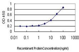 Detection limit for recombinant GST tagged DDT is approximately 3ng/ml as a capture antibody. (DDT antibody  (AA 1-118))