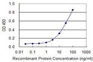 Detection limit for recombinant GST tagged TOB2 is 0. (TOB2 antibody  (AA 1-344))