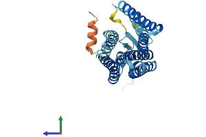 AlphaFold protein structure predicition of Human Recombinant OR10J6P Protein, UniprotID Q8NGY7 (OR10J6P Protein (AA 1-276) (His tag))