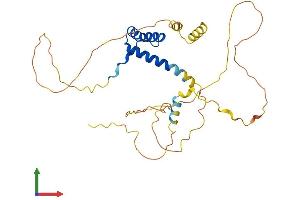 Protein Structure (PS) image for Paired-Like Homeodomain 2 (PITX2) (AA 1-317) protein (His tag) (ABIN7556817)