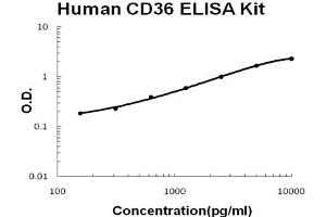 Human CD36/SR-B3 Accusignal ELISA Kit Human CD36/SR-B3 AccuSignal ELISA Kit standard curve. (CD36 (SR-B3) ELISA Kit)