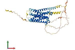 Protein Structure (PS) image for Serotonin Receptor 6 (HTR6) (AA 1-440) protein (His tag) (ABIN7551838)