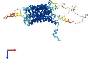 Solute Carrier Family 37 Member 1 (SLC37A1) (AA 1-533) protein (His tag)