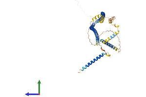 Protein Structure (PS) image for Cerebellar Degeneration-Related Protein 2, 62kDa (CDR2) (AA 1-454) protein (His tag) (ABIN7553117)