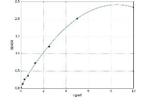 Glutamate Receptor, Ionotropic, N-Methyl D-Aspartate 1 (GRIN1) ELISA Kit