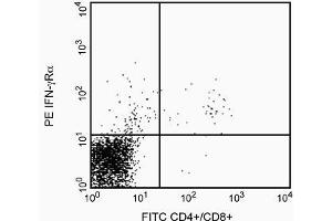 See first image description (IFNGR1 antibody)