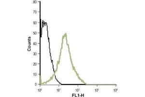 Cell surface detection of LTB4R in live intact human promyelocytic leukemia HL-60 cell line: (black line) Unstained HL-60 cells (green line) HL-60 cells + Anti-Human BLT1 (extracellular)- ATTO-488 Antibody (ABIN7043308), (1:20).