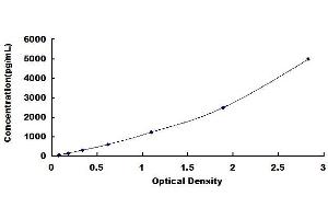Typical standard curve
