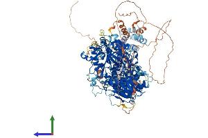 AlphaFold protein structure predicition of Mouse Recombinant Agtpbp1 Protein, UniprotID Q641K1 (AGTPBP1 Protein (AA 1-1218) (His tag))