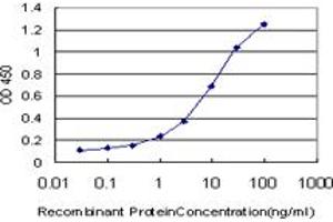 Detection limit for recombinant GST tagged ELF1 is approximately 1ng/ml as a capture antibody. (ELF1 antibody  (AA 421-520))
