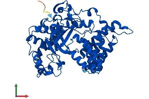 AlphaFold protein structure predicition of Mouse Recombinant Smyd2 Protein, UniprotID Q8R5A0 (SMYD2A Protein (AA 1-433) (His tag))