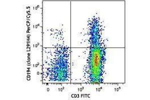 Flow Cytometry (FACS) image for anti-Chemokine (C-C Motif) Receptor 4 (CCR4) antibody (PerCP-Cy5.5) (ABIN2660017) (CCR4 antibody  (PerCP-Cy5.5))