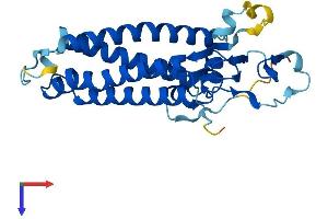 AlphaFold protein structure predicition of Human Recombinant ZDHHC21 Protein, UniprotID Q8IVQ6