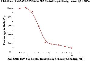 Immobilized Human ACE2, His Tag (ABIN6952641) at 2 μg/mL (100 μL/well) can bind pre-mixed increasing concentrations of Anti-SARS-CoV-2 Neutralizing Antibody, Mouse IgG1 (ABIN6953206) and 0. (SARS-CoV-2 Spike S1 antibody)
