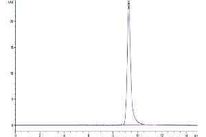 The purity of Human PAI-1 is greater than 95 % as determined by SEC-HPLC. (PAI1 Protein (AA 24-402) (His tag))