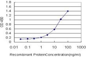 Detection limit for recombinant GST tagged FZD2 is approximately 1ng/ml as a capture antibody. (FZD2 antibody  (AA 192-245))