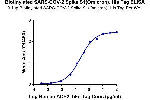 Immobilized Biotinylated Biotinylated SARS-COV-2 Spike S1 (Omicron B.
