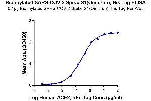 Immobilized Biotinylated Biotinylated SARS-COV-2 Spike S1 (Omicron B. (SARS-CoV-2 Spike S1 Protein (B.1.1.529 - Omicron) (His-Avi Tag,Biotin))