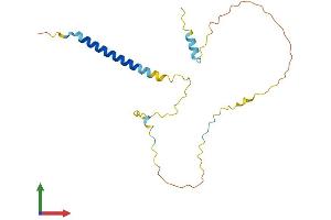 Protein Structure (PS) image for T Cell Receptor Associated Transmembrane Adaptor 1 (TRAT1) (AA 1-186) protein (His tag) (ABIN7544743)