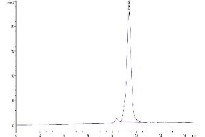 Size-exclusion chromatography-High Pressure Liquid Chromatography (SEC-HPLC) image for Cytotoxic T-Lymphocyte-Associated Protein 4 (CTLA4) (AA 37-160) protein (His tag) (ABIN7274434)