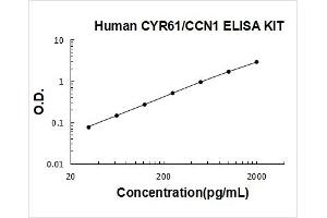 Cysteine-Rich, Angiogenic Inducer, 61 (CYR61) ELISA Kit