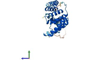 AlphaFold protein structure predicition of Human Recombinant ST13P4 Protein, UniprotID Q8IZP2 (ST13P4 Protein (AA 1-240) (His tag))