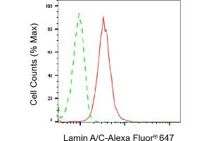Flow cytometric analysis of Lamin A/C expression in HeLa cells using Lamin A/C antibody (ABIN7799227), 1:2,000).