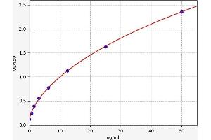 Utrophin ELISA Kit