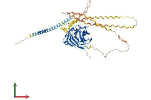 AlphaFold protein structure predicition of Human Recombinant GLDN Protein, UniprotID Q6ZMI3 (GLDN Protein (AA 1-551) (His tag))