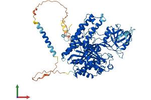 Protein Structure (PS) image for Transferrin Receptor (p90, CD71) (TFRC) (AA 1-763) protein (His tag) (ABIN7563962)