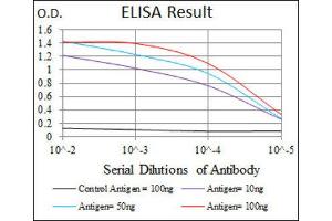 ELISA image for anti-Activated Leukocyte Cell Adhesion Molecule (ALCAM) (AA 48-216) antibody (ABIN1846222) (CD166 antibody  (AA 48-216))