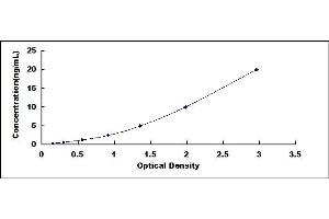 Typical standard curve (C1QTNF3 ELISA Kit)