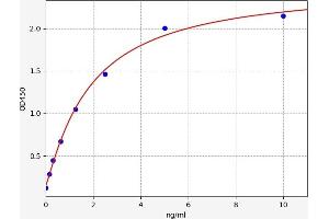 Typical standard curve (TIMELESS ELISA Kit)