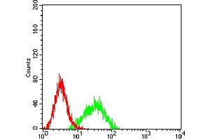 Flow cytometric analysis of K562 cells using ALDOA mouse mAb (green) and negative control (red). (ALDOA antibody  (AA 9-145))